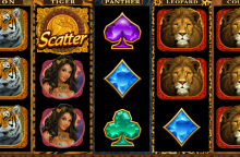 Exotic Cats Slot machine