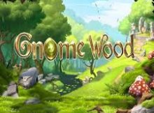 Gnome Wood Slot