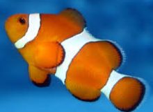 Poker sites usa online