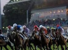 Sports Information Services