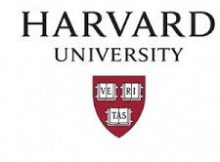 harvard university