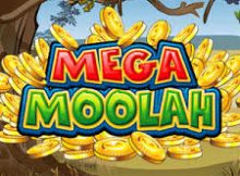 mega moolah slot