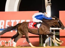 Dubai World Cup